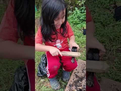 Mama Kaget Ara & Dedek Bntu Papa Brsihin Kaki Kambing Susah Pk Sikat Besi Msih Ada Bulu Blm Dibakar🐐 thumbnail