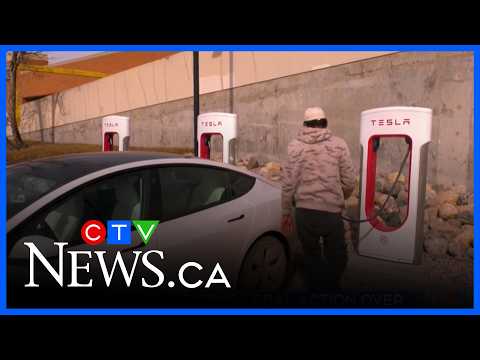 Tesla threatening legal action against province thumbnail