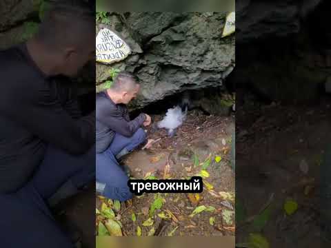 ⚠️ Если огонь гаснет у земли не заходи дальше! #природа #интересно #факты thumbnail