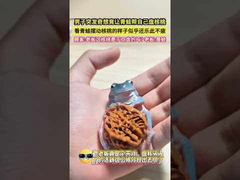 男子突發奇想竟讓青蛙幫自己盤核桃，看青蛙擺動核桃的樣子似乎還樂此不疲，顧客:老闆這核桃是手工盤的嗎? 老闆:是蛙！#shorts thumbnail