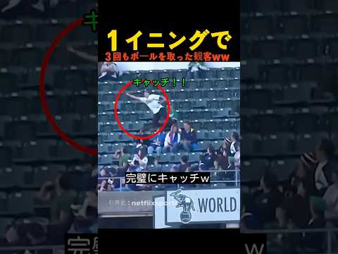 １イニングで３回もボールを取った観客 thumbnail