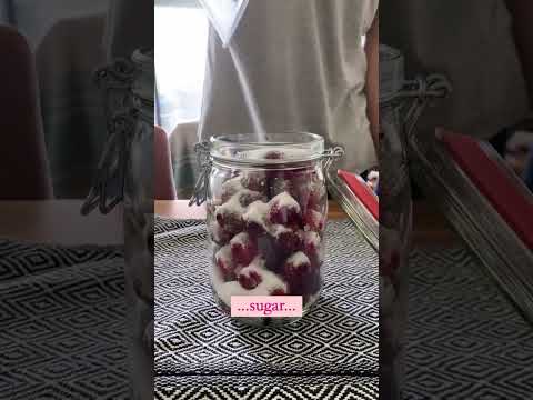 #PlotToPlate: homemade #cherry liqueur using fruits from our #allotment! ? #growyourownfood thumbnail