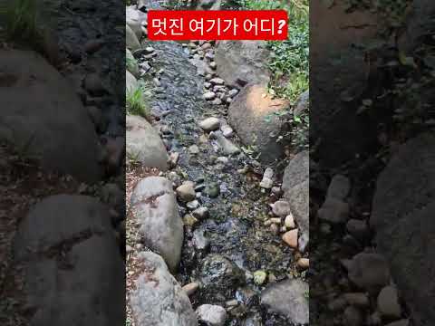 멋진 여기가 어디? 남산 실개천 따라 졸졸 흐르는 물소리에 마음까지 시원하네요 #눈호강 #사랑은어떻게생겼을까 #김용빈 #트로트  #안중태tv #shorts thumbnail