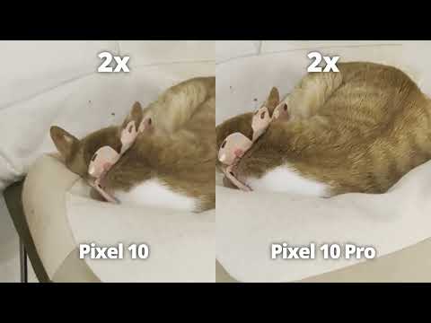 Pixel 10 vs Pixel 10 Pro_Zoom test thumbnail