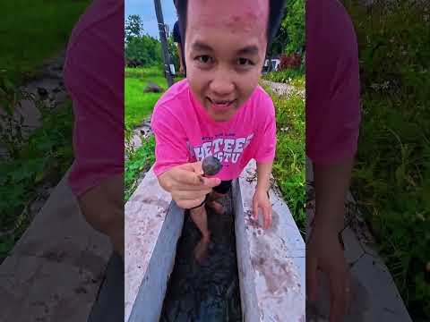 Chiếc kẹo bị bẩn và anh chàng thông minh ❤️ #shorts thumbnail