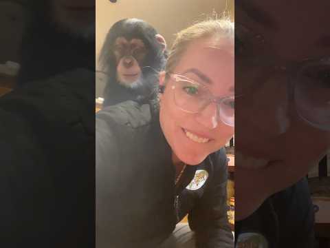 #lol #cute #cutie #baby #babyanimals thumbnail