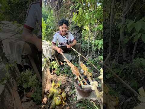 ประธานเข้าป่า⁉️ปิ้งไก่เอาชีวิตรอด…โครตสนุก🔥 thumbnail