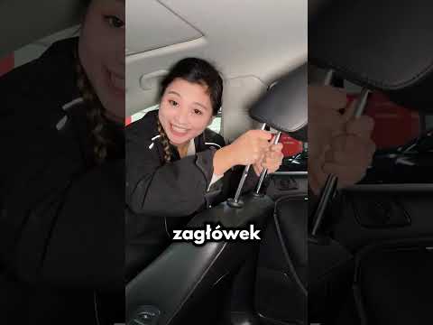 Założę Się Że Tego NIE WIEDZIAŁEŚ!🧠 thumbnail