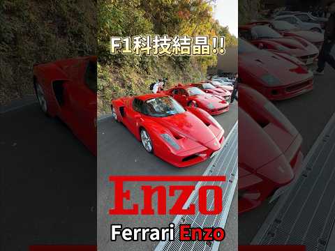 F1 科技結晶 Ferrari Enzo!! #一日一車一知識 #鴨子車庫 thumbnail