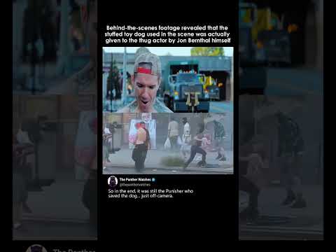 Punisher: One Last Kill Had a Surprisingly Wholesome BTS Detail in the Dog Scene thumbnail