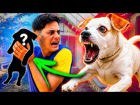 ELA NÃO GOSTOU DO NOVO MASCOTE DO CANAL thumbnail