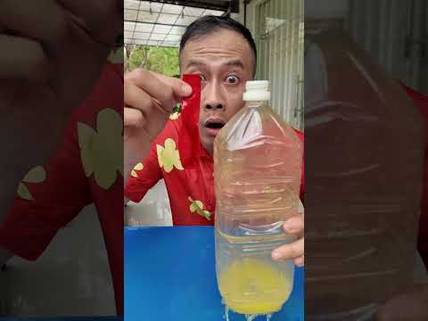 Cách Tôi Giữ Nước Trong Bình Bị Thủng Và Mất Nắp #haongchu thumbnail