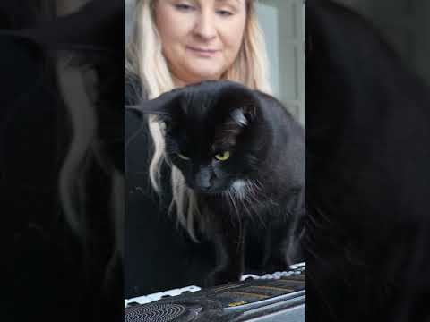 Han ska alltid vara med🥰 thumbnail
