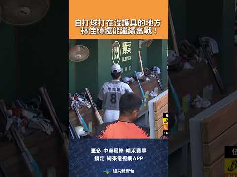 #CPBL 自打球打在沒護具的地方 林佳緯還能繼續奮戰 ! #中信兄弟 #統一獅 #中華職棒 #shorts thumbnail