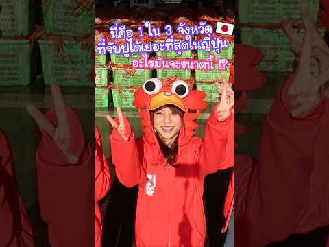 1 ใน 3 จังหวัดที่จับปูได้เยอะที่สุดในญี่ปุ่น !? ออกทะเลครั้งเดียวจับได้ขนาดนี้เลย #ญี่ปุ่น thumbnail