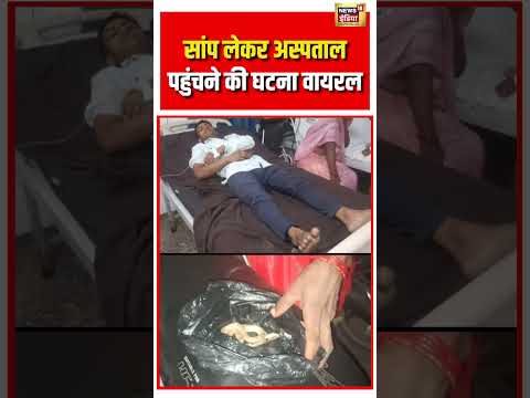 सांप लेकर अस्पताल पहुंचने की घटना वायरल | #viralnews #viralvideo #viral #shortvideo #shorts thumbnail