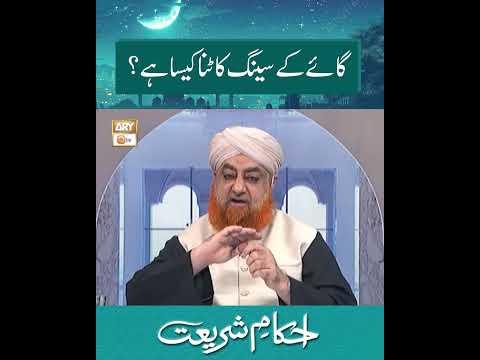 Gaye Ke Seengh Kaatna Kaisa Hai? | Mufti Akmal | #shorts thumbnail