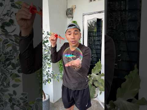 gelembung adik di tusuk gak pecah thumbnail