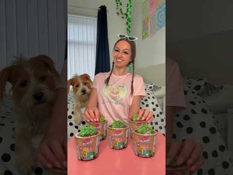 [ASMR] UNBOXING A *NEW* DISNEY DOORABLES IN FULL BLOOM MYSTERY PLANT POT!!😱🌿🌷⁉️(ULTRA RARE FIND!!🫢✨) thumbnail