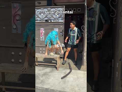 Itu ular asli atau palsu?😭😭 thumbnail
