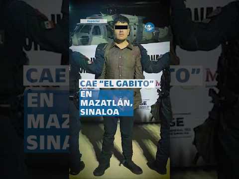 Cae Gabriel Nicolás “N”, alias “El Gabito”, presunto líder de “Los Chapitos” #shorts thumbnail