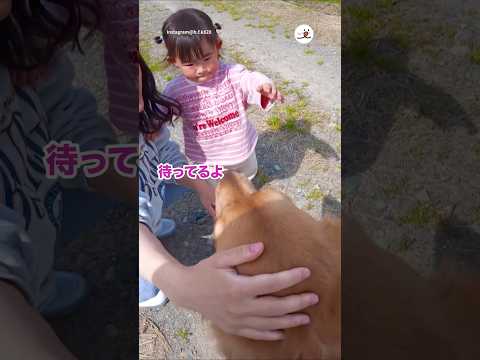 触りたいけど勇気がでない2歳児｜PECO thumbnail