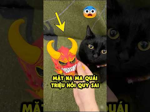 Tập 2️⃣ Bí ẩn về chiếc mặt nạ ma quái thumbnail