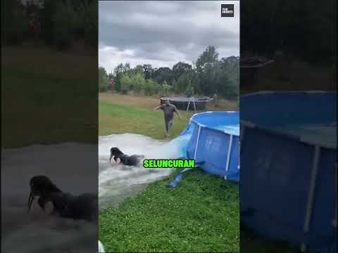 Ayah Ini Cuma Ingin Anak-Anaknya Bahagia ? thumbnail