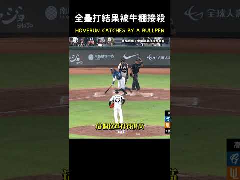 曾峻岳接住了張育成的全壘打XDD HOMERUN CATCHES BY A BULLPEN.. #CPBL #中華職棒 #Baseball #曾峻岳 #張育成 thumbnail