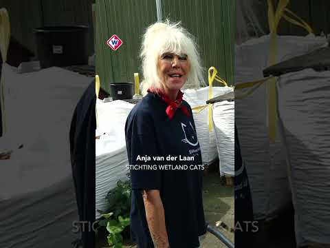 Anja heeft 600 katten te verzorgen | #shorts thumbnail