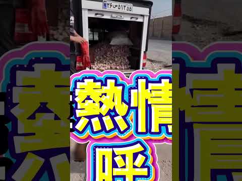 暖心男子整車餵食流浪狗 thumbnail