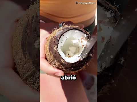 Convirtió un coco en una taza de café 🤯☕🥥 thumbnail