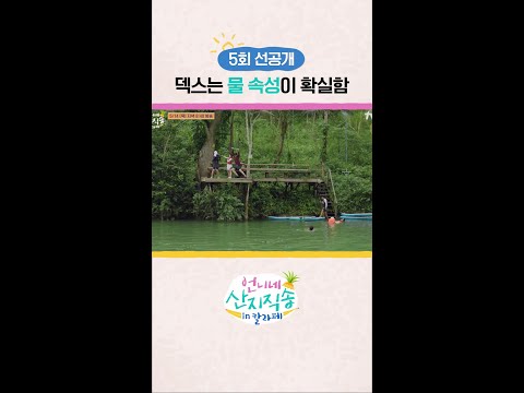 [선공개] 덱스보다 다이빙 잘할 수 있는 사람? #언니네산지직송in칼라페 thumbnail