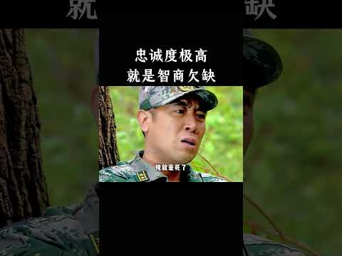 忠诚度极高，就是智商欠缺 thumbnail