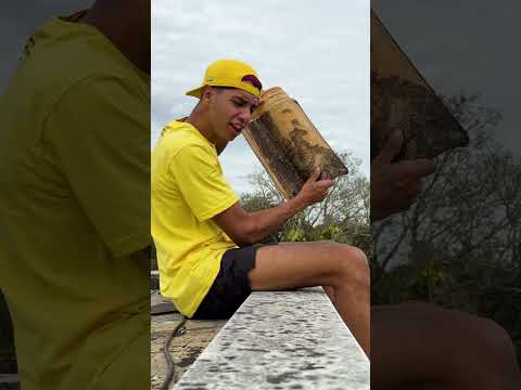 QUANDO A AUDIÇÃO ESTÁ PÉSSIMA ... thumbnail