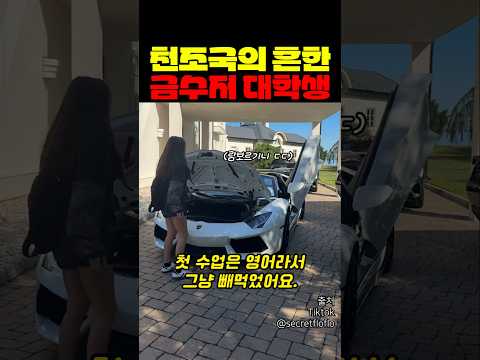 천조국의 흔한 금수저 대학생 thumbnail