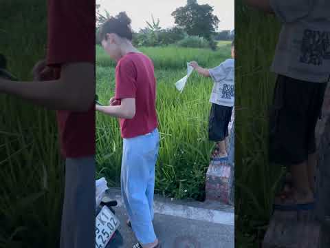 Đại gia Văn Quý có khi bỏ nghề thôi #thadieu #dieusao #thadieusao  #shorts #caulongbocondua thumbnail