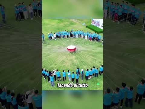 Una palla decide il giorno di vacanza di tutta la scuola 😳 thumbnail