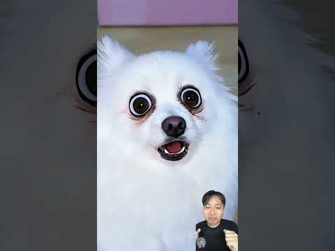 Rumi khả nghi quá thumbnail