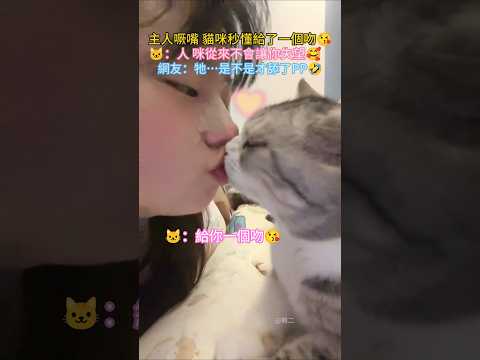 主人噘嘴貓咪秒懂回了一個吻? ?：人❤️咪從來不會讓你希望落空? 網友：牠…是不是才上完廁所? #cat #cute #healing #shorts #cutecat thumbnail