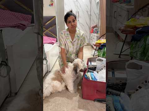 Motu Ko Bhi Apne Sath Leke Gae ??? #dog #dogs #dogshorts #babygirl #baby #babyshorts #shorts thumbnail