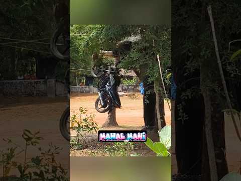 குட்டி கோல்டு ஃபாதர் ? அர்னால்டு சம்பவம் தரம் ? கோல்டு & மம்மி தம்பல்ஷ் வேற ரகம் ? thumbnail