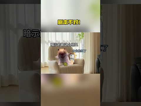 念完男生的，他又说，小傻瓜，还有老师呢？#猫meme日常 #川剧 thumbnail