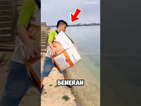 cowok ini emosi parah digangguin anak bebek 😱 thumbnail