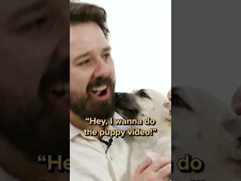 Ex-BuzzFeeders Spill Tea While Playing With Puppies thumbnail