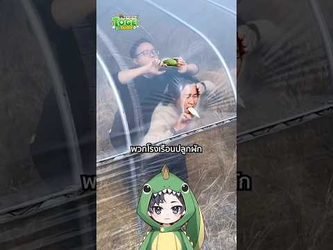 พลาสติกซ่อมโรงเรือน | TOGE トゲ thumbnail