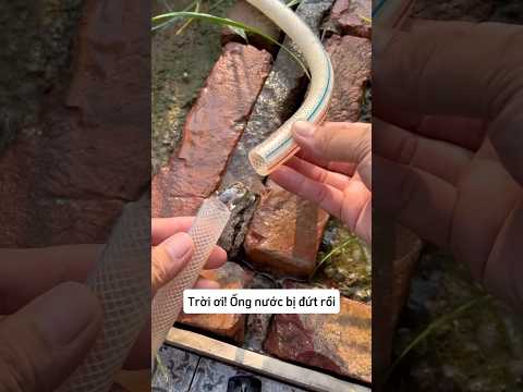 Cách tôi nối ống nước bị hỏng lại với nhau thumbnail