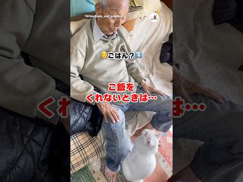 大好きなおじいちゃんへごはんの圧をかける｜PECO thumbnail