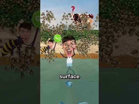 What To Do If Bees Attack ? thumbnail