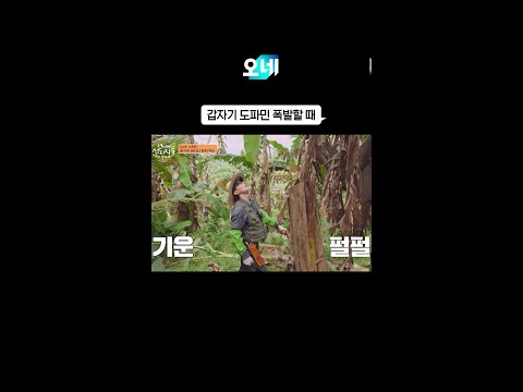 도파민 나올 때 쓰는 짤 #짤오네 #언니네산지직송in칼라페 thumbnail